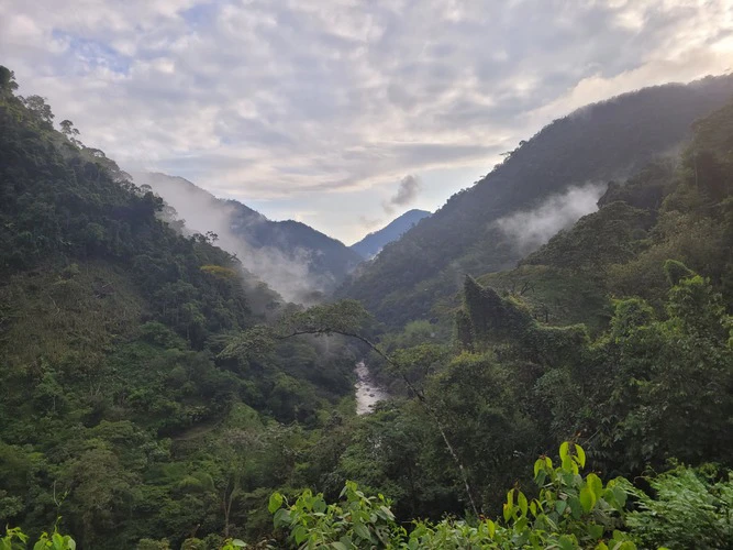 tropical rainforest landscapes and the beginning of the santo domingo river in the background